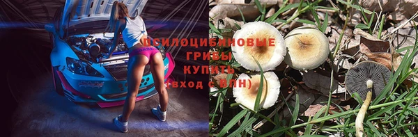 дживик Осинники
