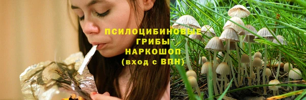 хмурый Алексеевка