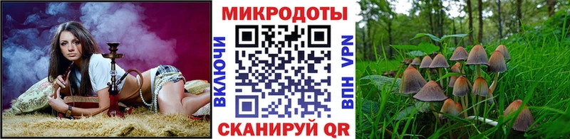закладка  Миасс  Псилоцибиновые грибы Magic Shrooms 