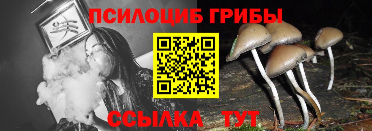 наркошоп  Вход с VPN  Миасс  Псилоцибиновые грибы мухоморы 